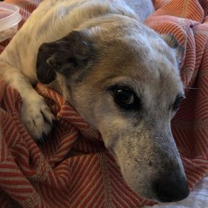 Meet your Posher, Brett